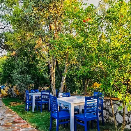 ホテル Zeytin Dali Butik