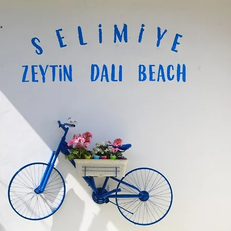 Zeytin Dali Butik *