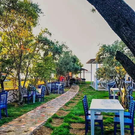 Zeytin Dali Butik ホテル