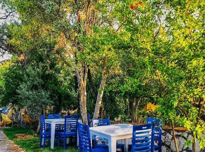 Hotel Zeytin Dali Butik