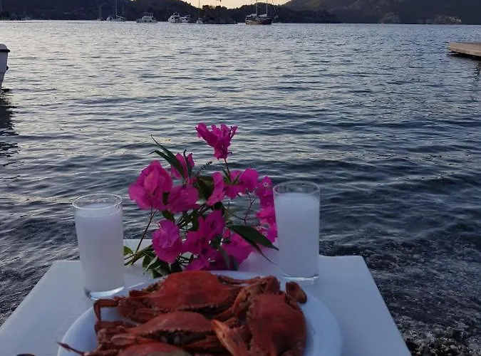 Zeytin Dali Butik ホテル *