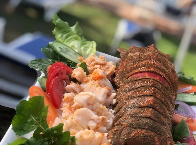 ホテル Zeytin Dali Butik セリミエ