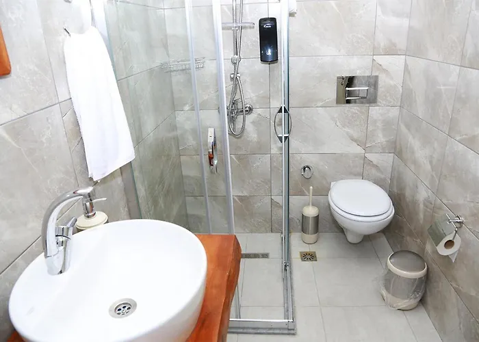 ホテル Zeytin Dali Butik セリミエ